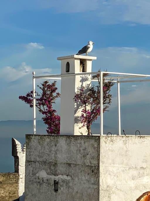 Dar Weldi, Maison Au Coeur De La Kasbah 丹吉尔 外观 照片